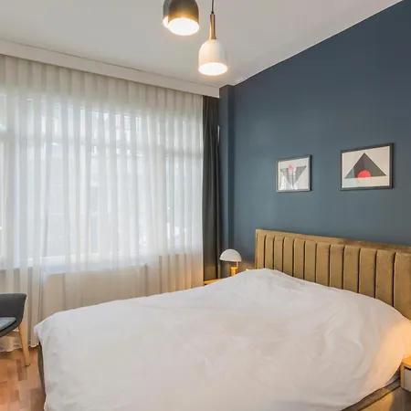 Fully Renovated Spacious Two Bedroom At Cihangir