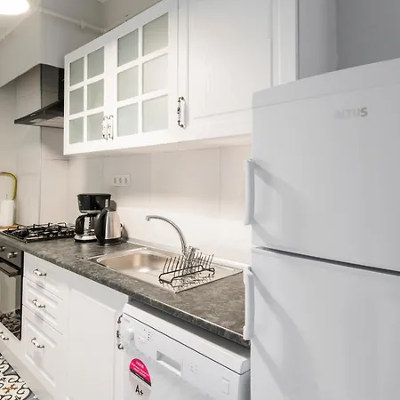 Fully Renovated Spacious Two Bedroom At Cihangir