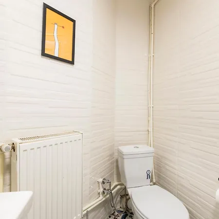 Fully Renovated Spacious Two Bedroom At Cihangir